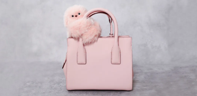 可拉伸屏幕、搂住你的机器人...盘点2025 CES的“脑洞”产品