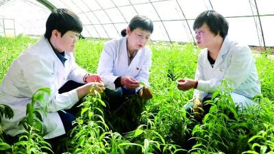 走，把科技成果“种”到田间地头