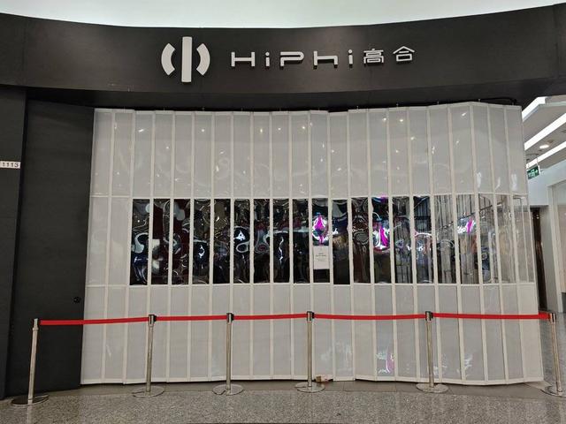 惨烈，是中国汽车2025的必经之路