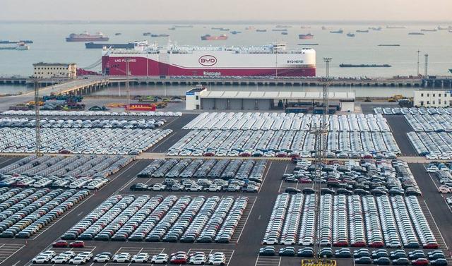 惨烈，是中国汽车2025的必经之路