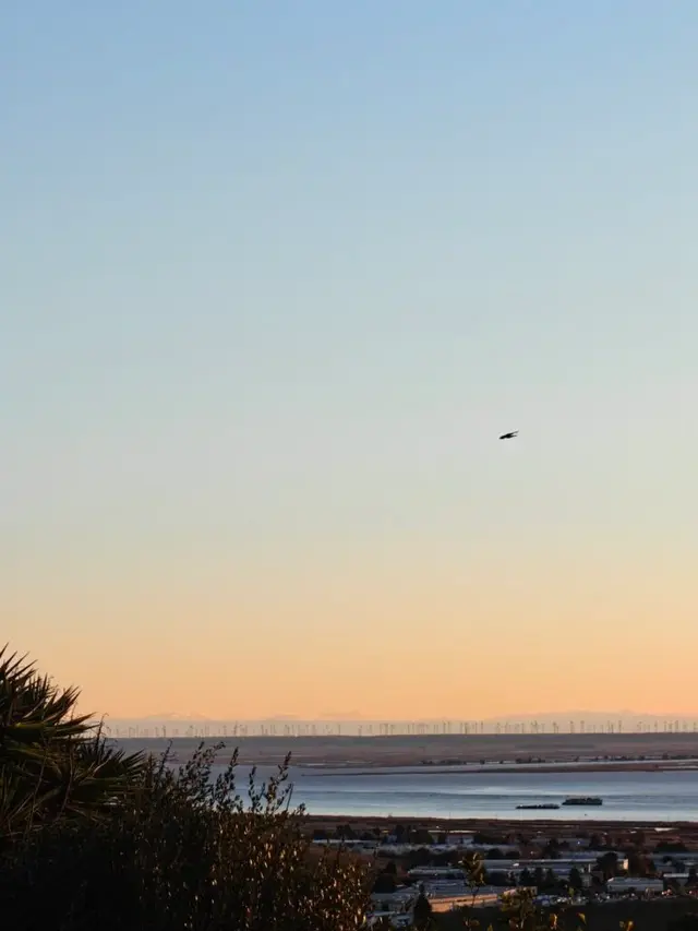 OnePlus 13 评测：更好的 Android 手机，但并非最好的