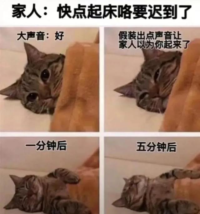 千万不要两眼一睁就是玩手机！后果很严重……