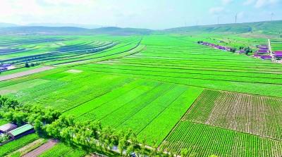 走，把科技成果“种”到田间地头