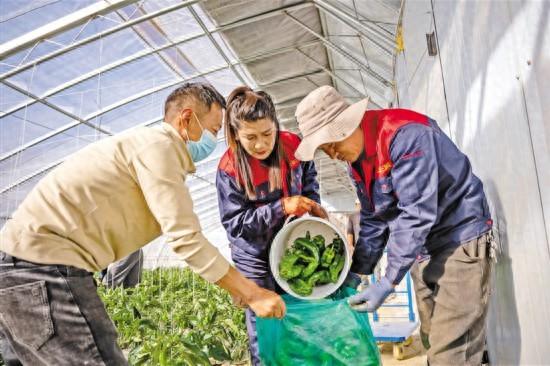 科技赋能“菜园子”