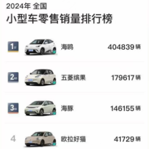 2024年，各级别销冠都是谁？（轿车篇）