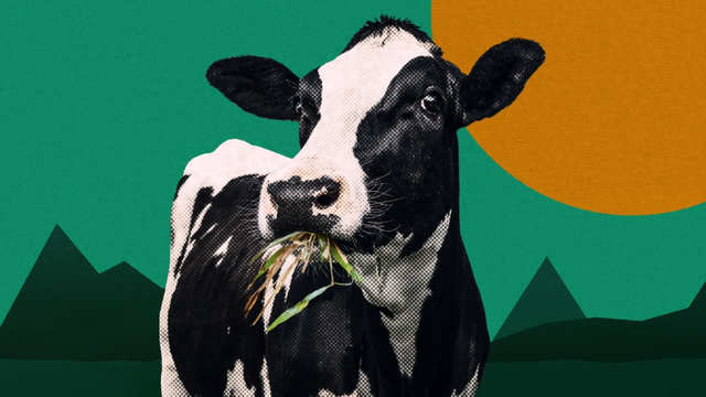 为什么说2025是气候科技的关键一年