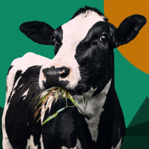 为什么说2025是气候科技的关键一年