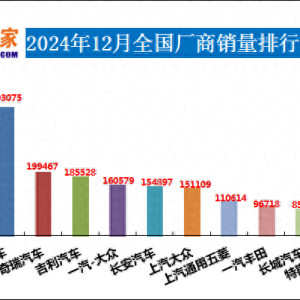 2024年12月汽车销量排行榜 奇瑞异军突起
