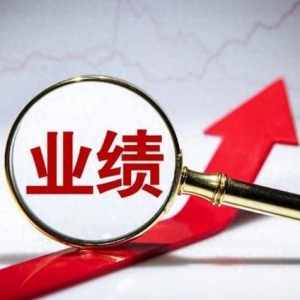 2024年业绩增长最快的7大科技公司盘点：技术强劲，未来可期