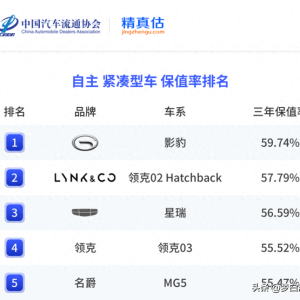 2024年度国产轿车保值率排名揭晓：红旗H5丢冠，星瑞、领克03前五