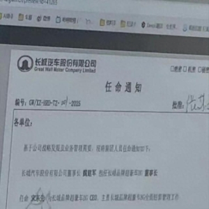 长城“自信汽车”商标公布 今年发布/dingwei 超豪华品牌