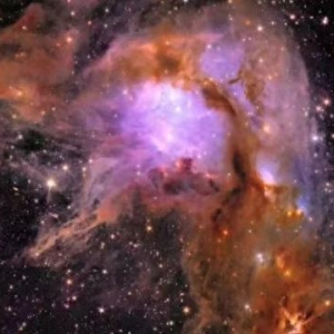 2024年中国/世界十大科技进展新闻揭晓