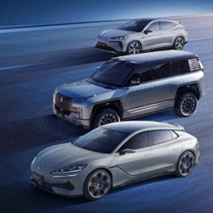 2024中国汽车市场品牌销售额排名：问界理想均超千亿