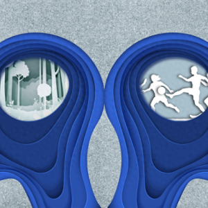 人是如何记住事儿的？MIT科学家揭开了秘密