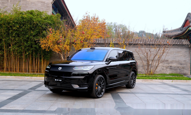 近十款重磅新车上市，比亚迪2025年如何捍卫铁王座？