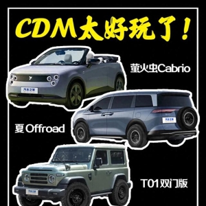 双门小米SU7，双门212 T01，敞篷萤火虫？这些车你看行吗？