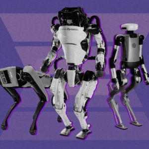 拥有了AI大脑之后，机器人的下一步是什么？