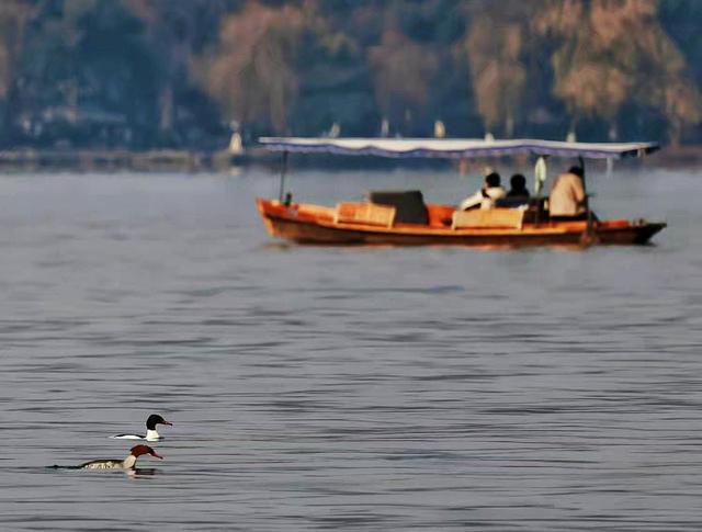 直播预告丨明日晴暖，早上7点半，和潮新闻一起跑向春天