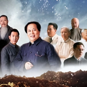 央视及各卫视平台电视剧直播表！今天2部新剧开播，10部热剧直播