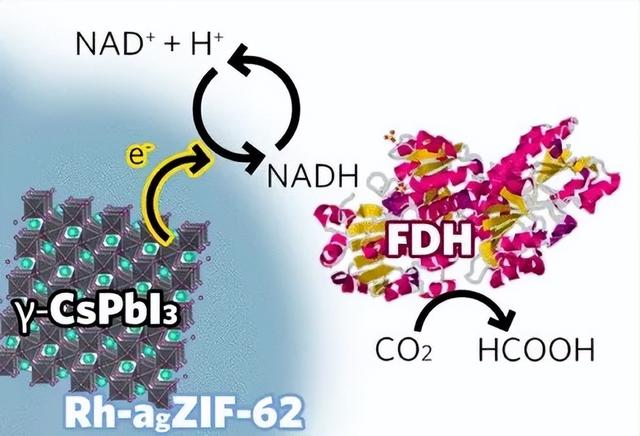 科学家成功开发晶体-非晶体复合材料，浸泡数月仍保持极高光转化