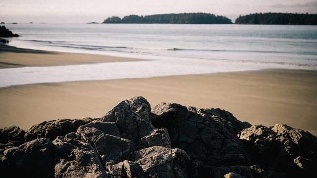 本周日CCTV5精彩节目预告，让你不容错过！