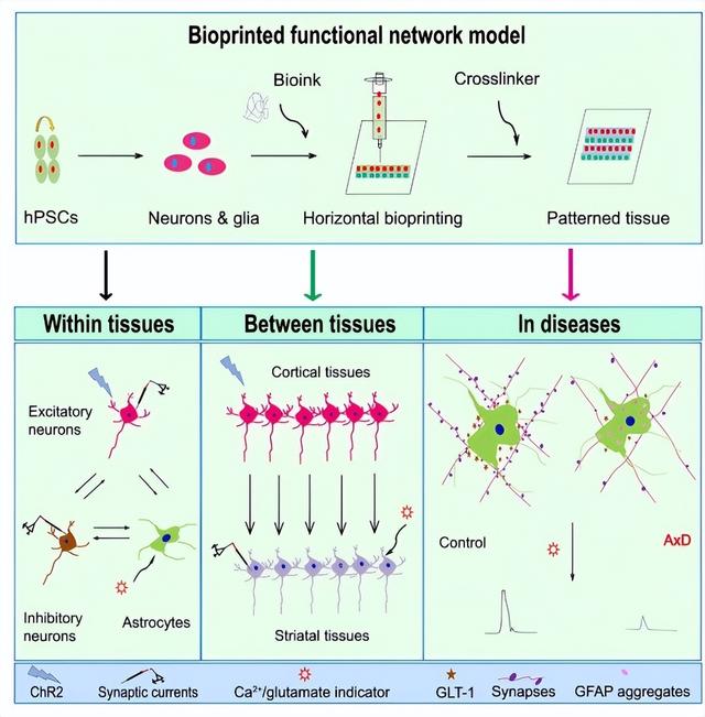 2024年中国/世界十大科技进展新闻，揭晓！