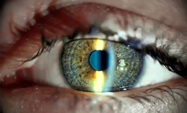 2024年中国/世界十大科技进展新闻，揭晓！