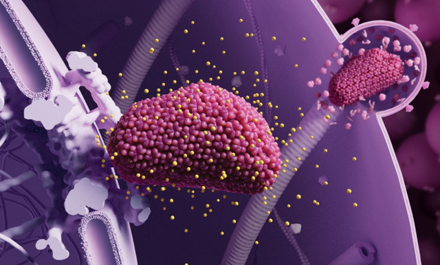 2024年中国/世界十大科技进展新闻，揭晓！