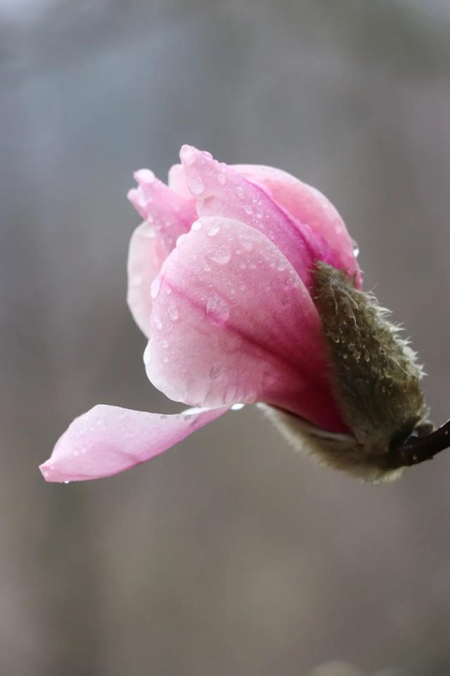 直播预告！就在3月7日上午10:30