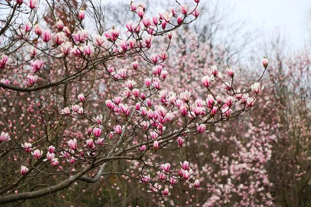 直播预告！就在3月7日上午10:30