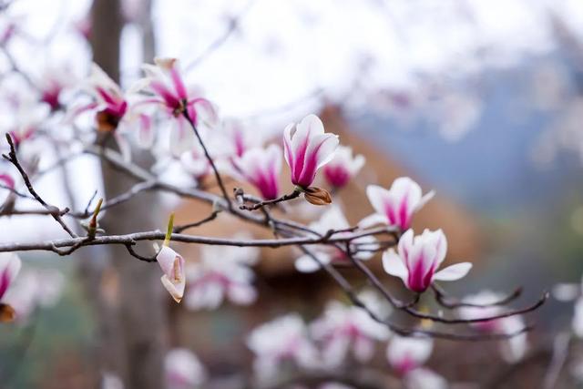 直播预告！就在3月7日上午10:30