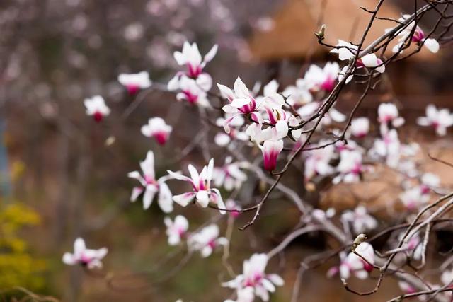 直播预告！就在3月7日上午10:30