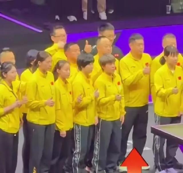 今晚19:30中央五套直播表:CCTV5CCTV5+节目单 附多哈世乒赛赛程