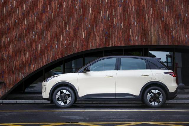 1月汽车销量：同比环比皆下滑，2025年还能“低开高走”？