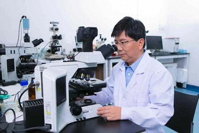 科技又添新“丰”景 | 新华社