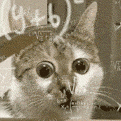 连这些配置都没有的手机，统统过时！