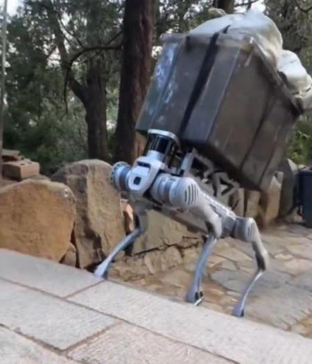 工人日报e网评丨机器人春节“很忙”，科技与人文共舞有更多可能