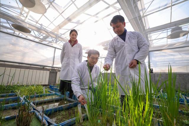 生活观察丨舌尖上的科技故事