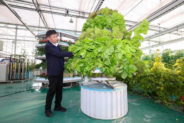 生活观察丨舌尖上的科技故事