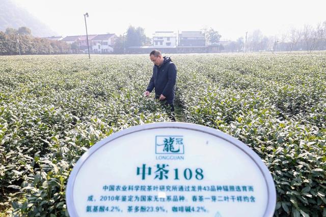 生活观察丨舌尖上的科技故事