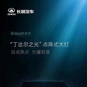 哈弗枭龙MAX 闪钻尾灯悬浮车顶，“丁达尔之光”点阵大灯，心动了