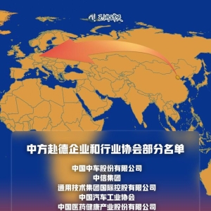 欧洲困难时刻，中国企业组团来了！汽车是重点