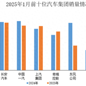 2025年1月前十位汽车生产企业（集团）销售情况简析