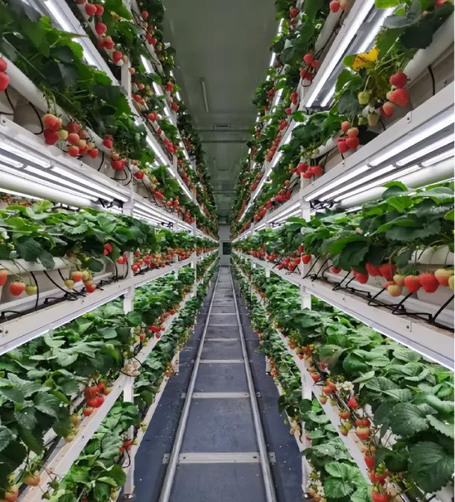 未来已来，这些“黑科技”正在改变你的生活！