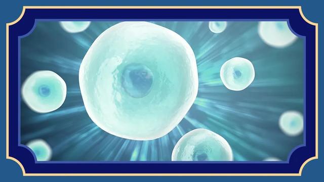 减肥新纪元！马斯克同款黑科技+"神奇食物"，躺着瘦10斤不是梦？