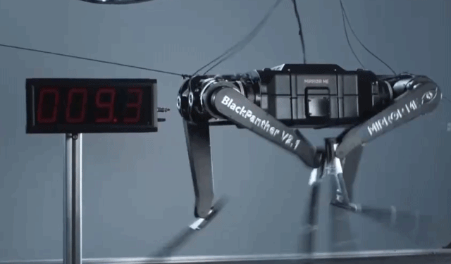 没有感情全是高科技！机器人不语只是一味“加速”