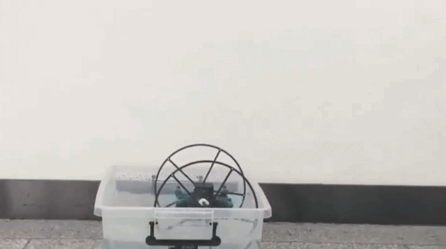 没有感情全是高科技！机器人不语只是一味“加速”