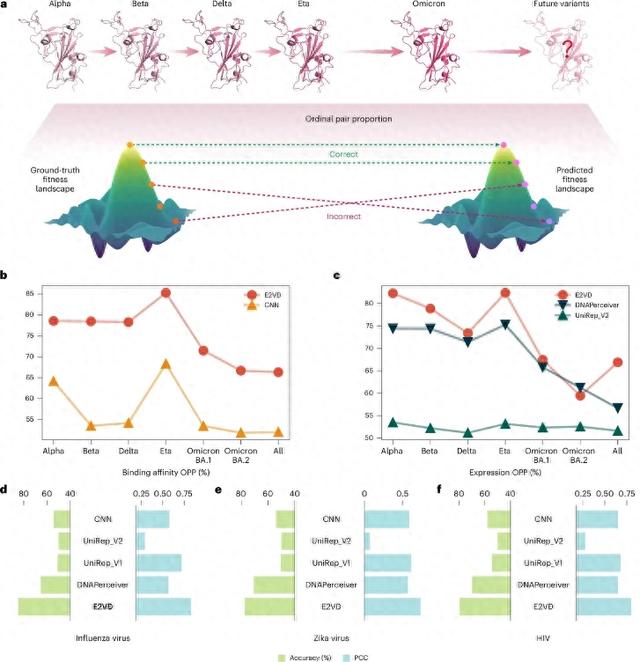 一周前沿科技盘点｜从生物演化到AI突破， E2VD模型革新病毒进化预测……
