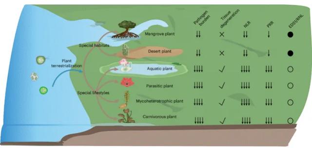 一周前沿科技盘点｜从生物演化到AI突破， E2VD模型革新病毒进化预测……