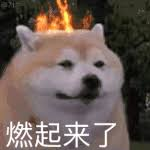 这99元新品，干掉了小米手机最烦人的限制